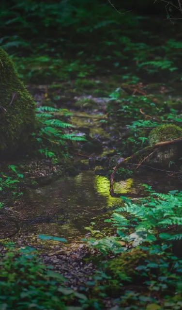 子宝温泉 円空の湯